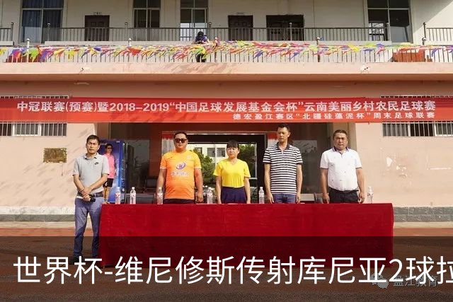 世界杯-维尼修斯传射库尼亚2球拉菲尼亚伤退 半场巴西3-0海地